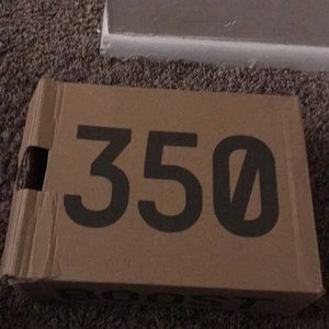 Yeezy‘s 350